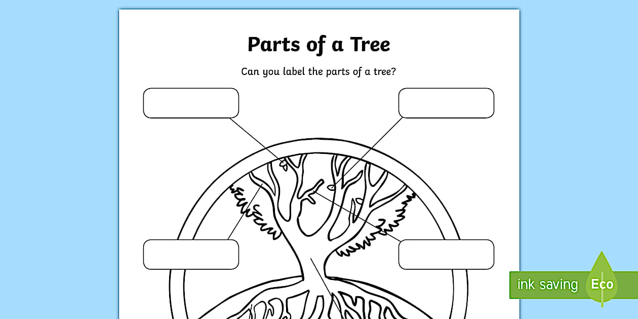 The Parts of a Tree Labelling Worksheet (teacher made)