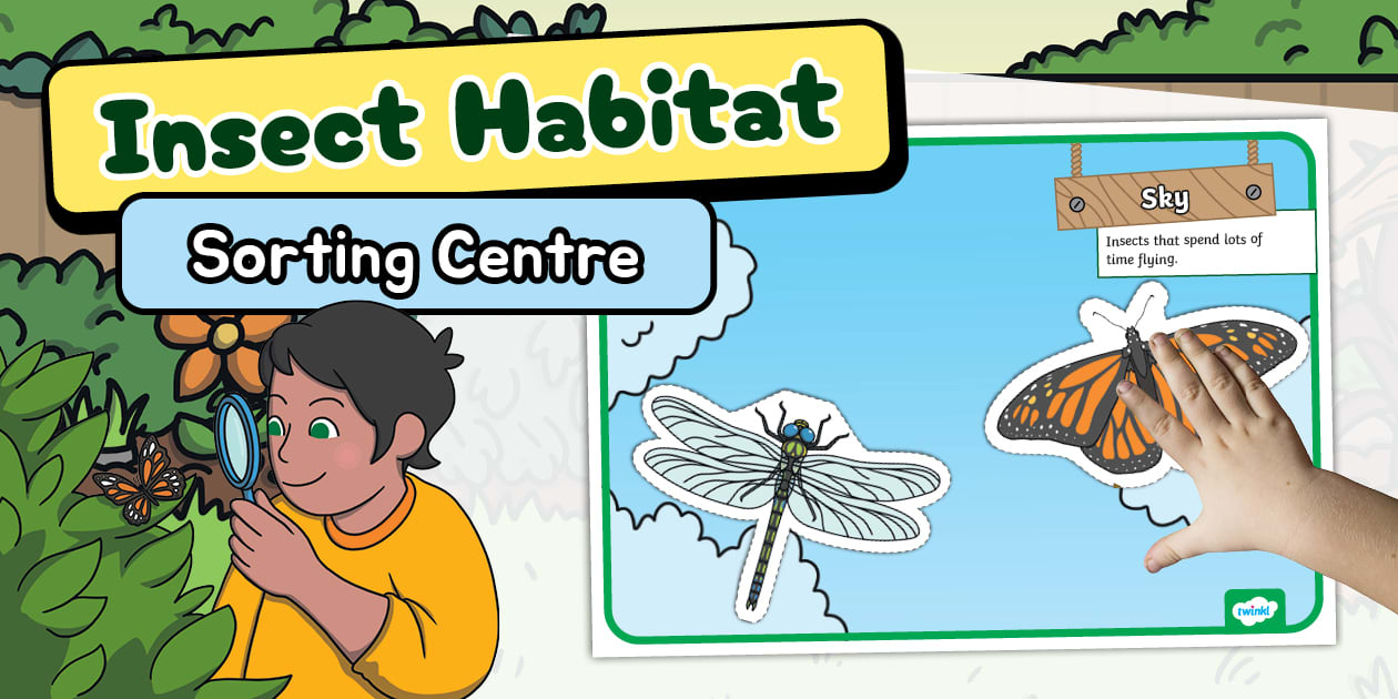 Twinkl Australia Insect Habitat Sorting Centre Activity