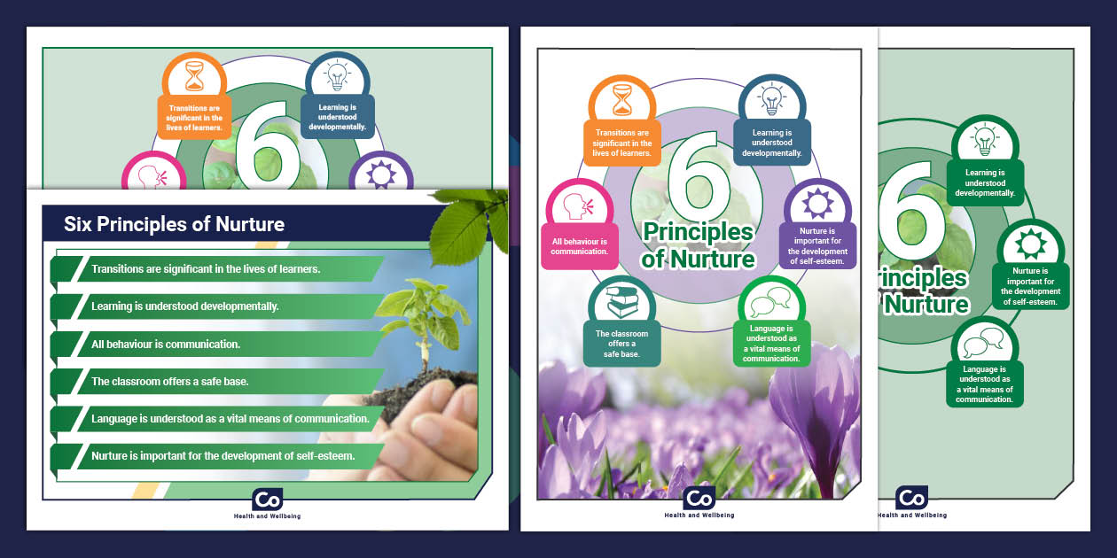 Six principles of nurture display posters teacher made 