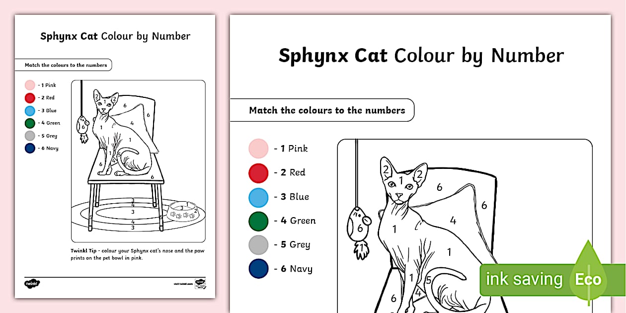 Sphynx Cat Colour By Number (teacher made) - Twinkl
