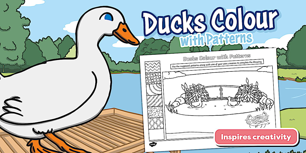Ducks Colour with Patterns Activity