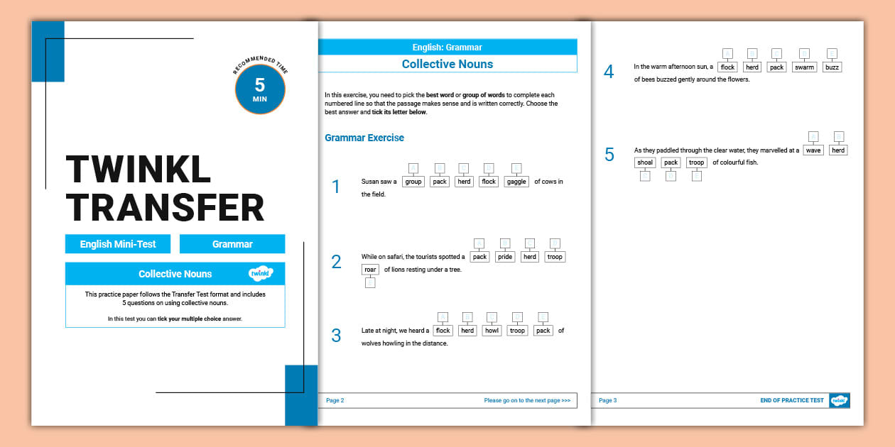 Transfer Mini-Test: Grammar (Collective Nouns)