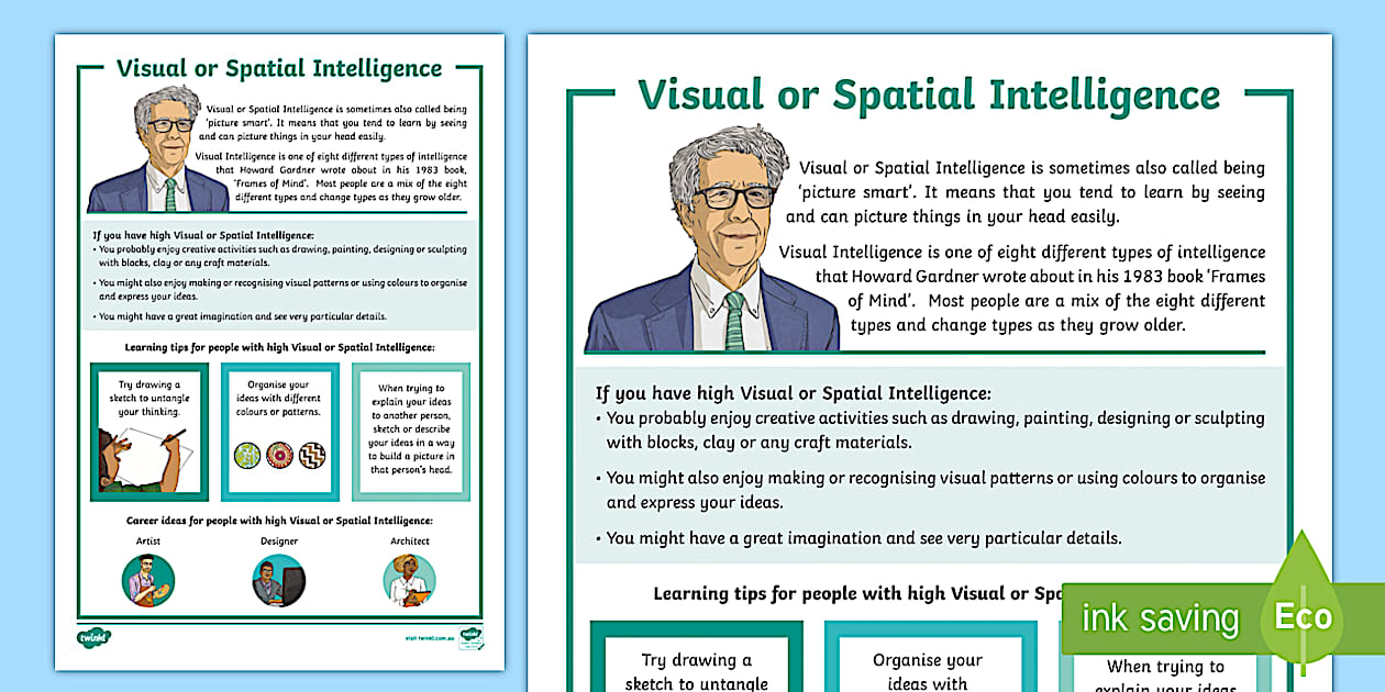 Visual Intelligence Fact File (teacher made) - Twinkl