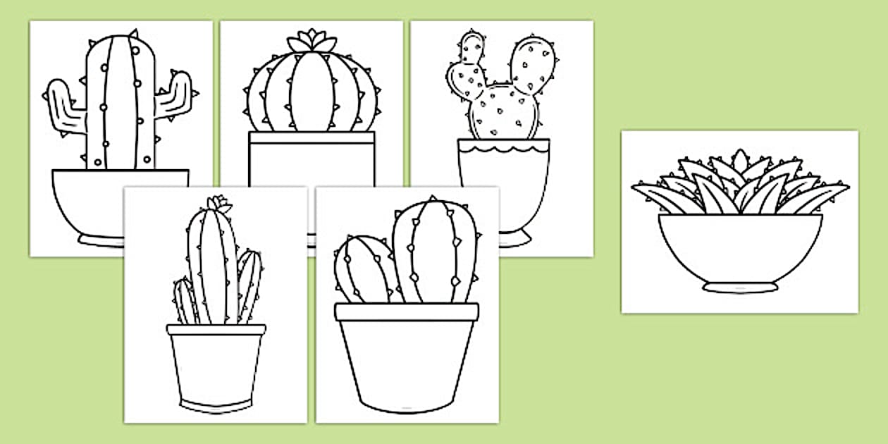 Cactus Templates (teacher made) - Twinkl
