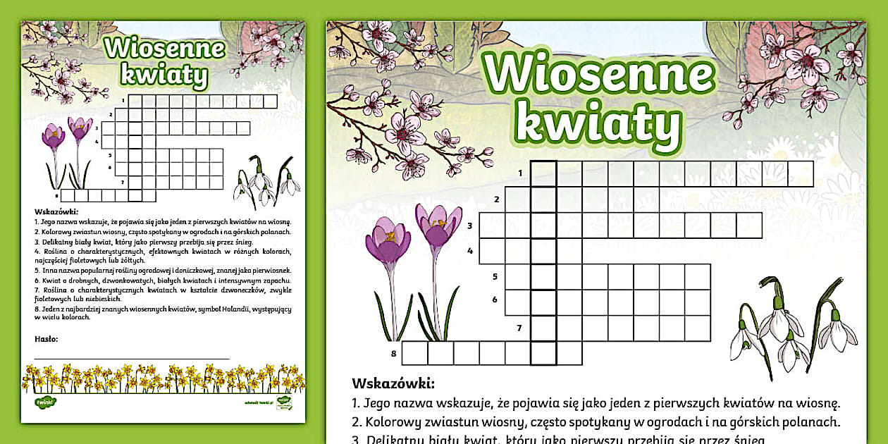 Kwiaty wiosenne | Krzyżówka | Karta pracy (teacher made)