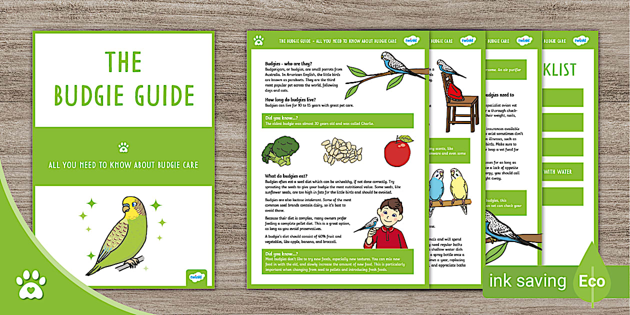Illustration of Budgie Supplement Guide For Birds