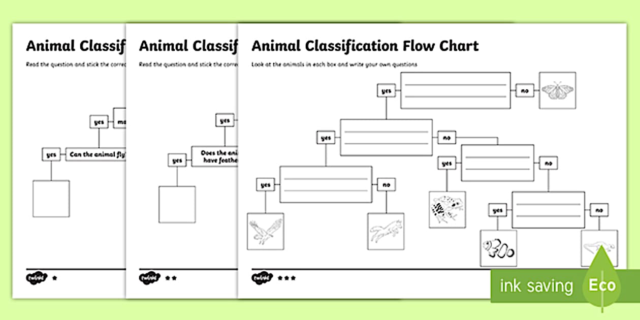 Animal Flow Chart Worksheet (Teacher-Made) - Twinkl