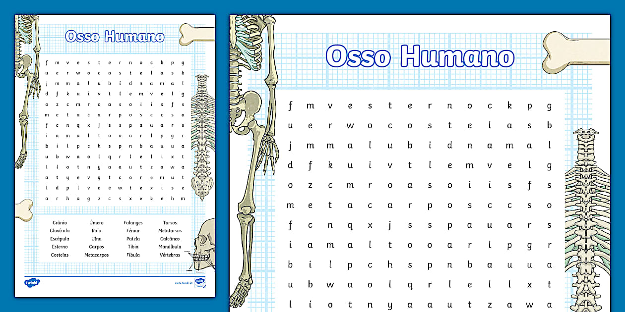 Sopa de Letras: Osso Humano (Teacher-Made) - Twinkl