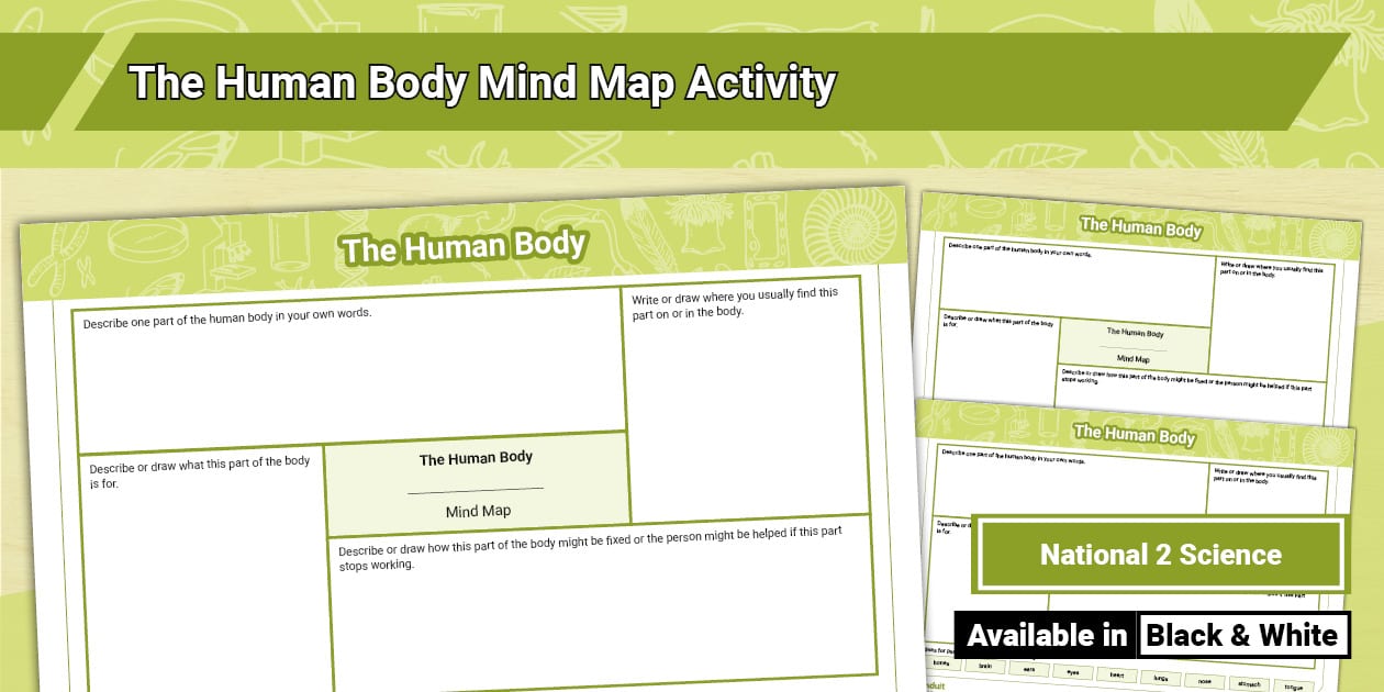 The Human Body Mind Map Activity