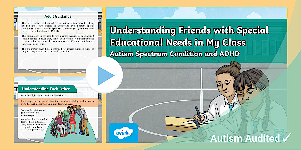 Understanding Friend Understanding Friends with Special Educational Needs In My Class ...