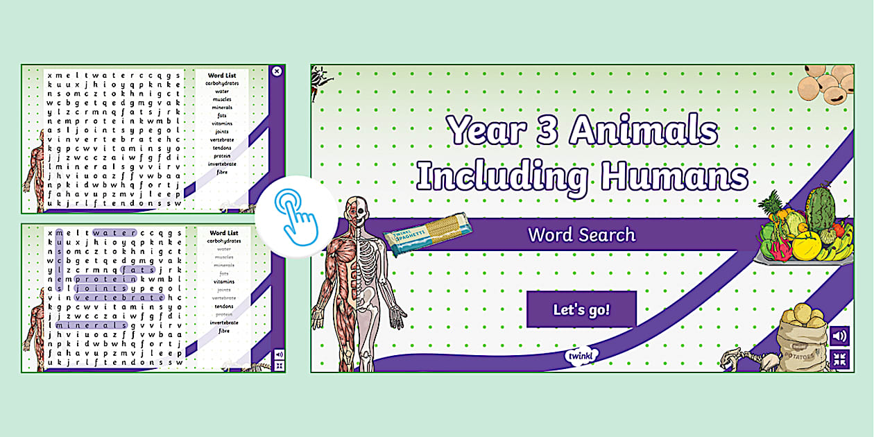 Year 3 Animals Including Humans Interactive Word Search