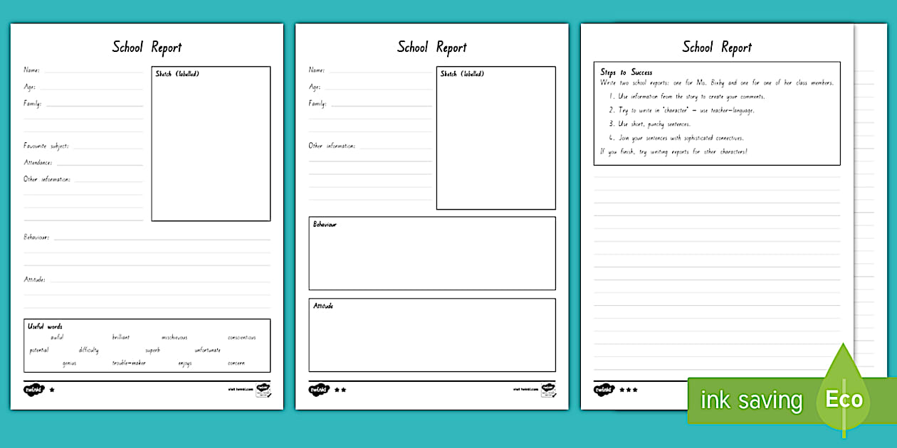 Editable Character School Report Card Differentiated Worksheets to Support