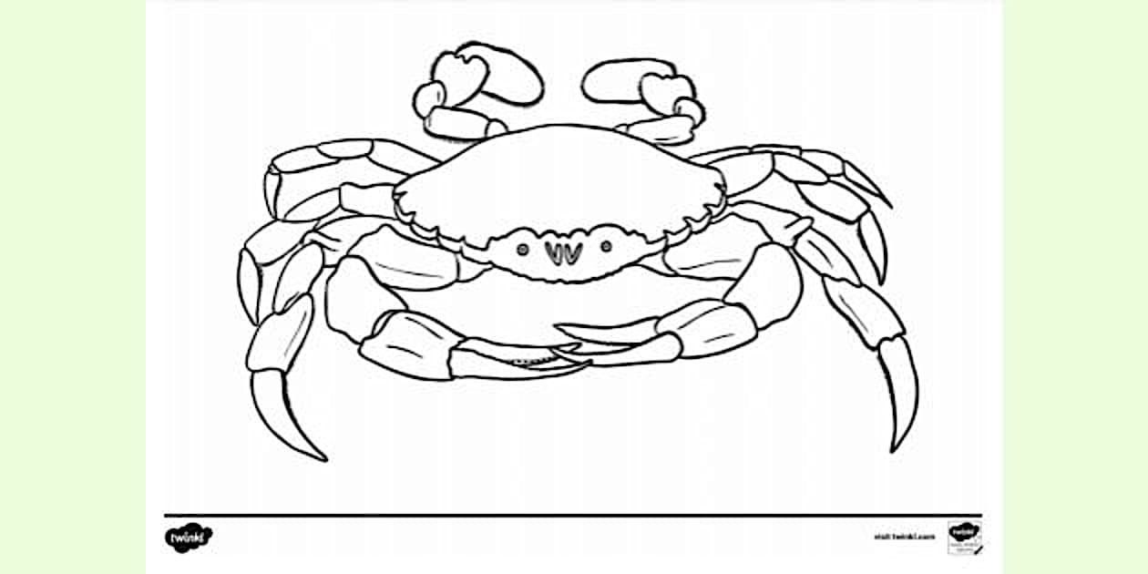 Printable Crab Colouring Page | Colouring Sheets - Twinkl