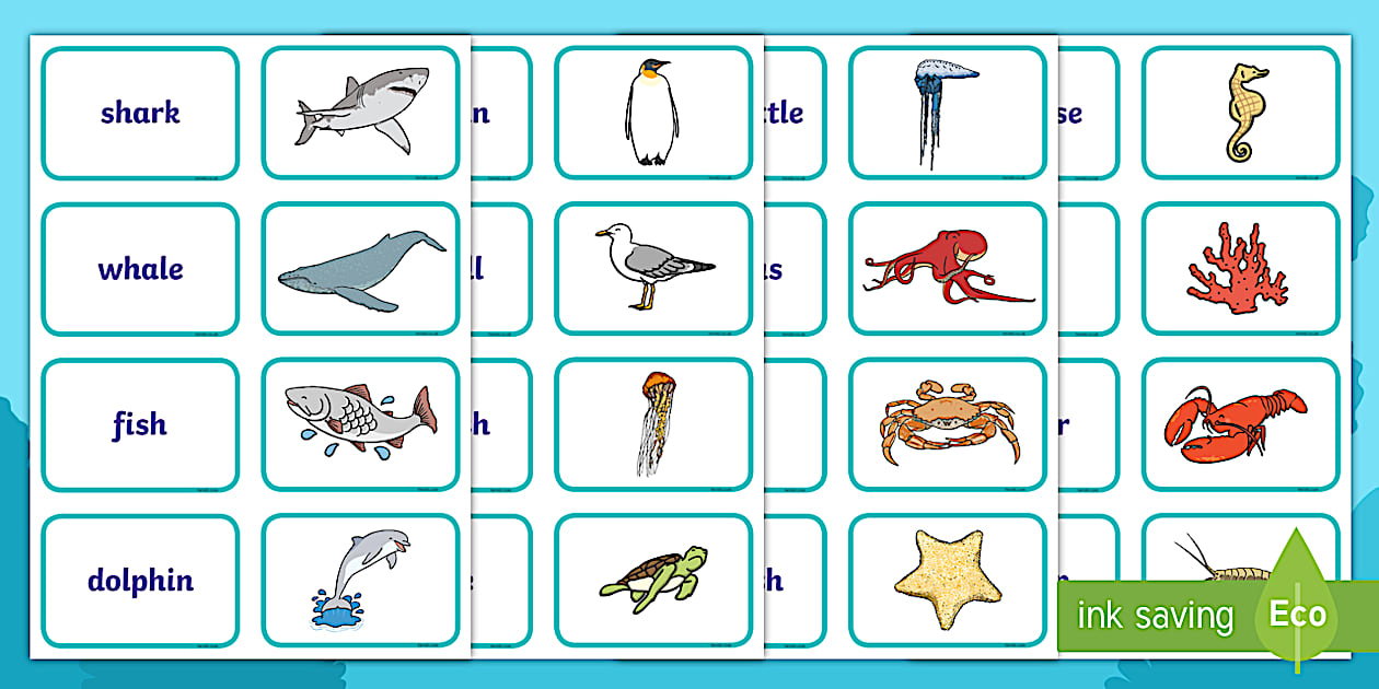 TAS Under 8's Week: The Coast Picture and Word Matching Cards