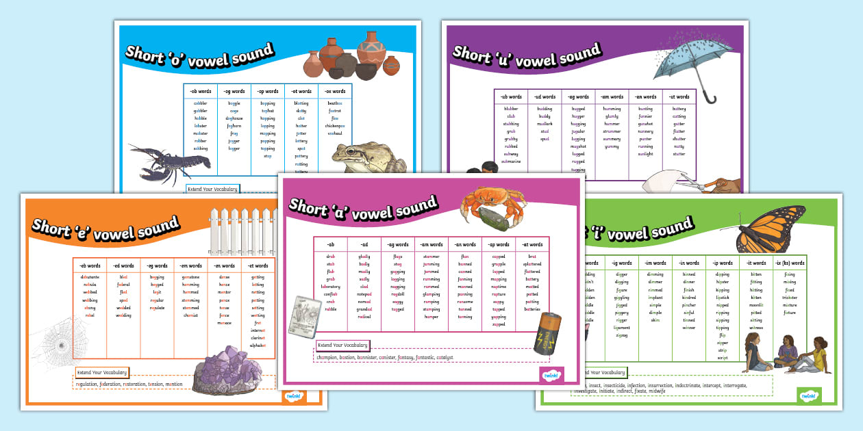 Short Vowel Posters - Year 4 (teacher made) - Twinkl