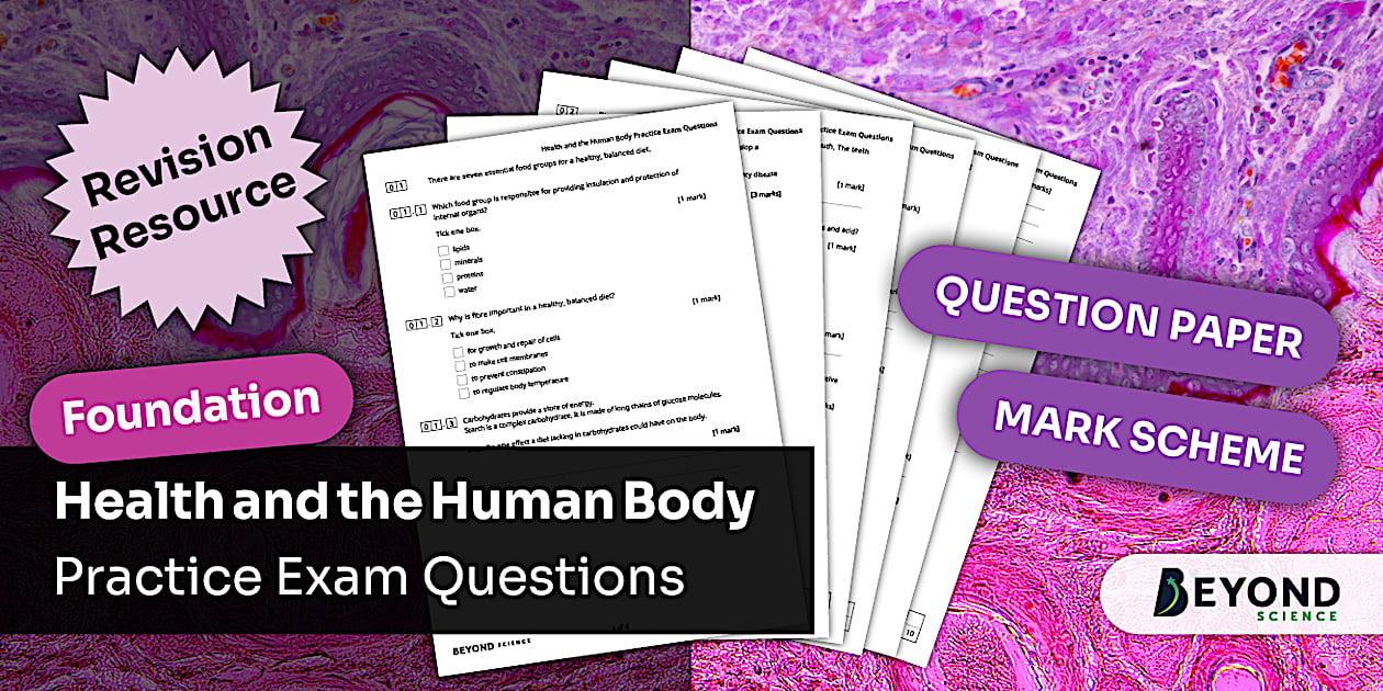 KS3 Health and the Human Body Foundation Practice Exam Questions