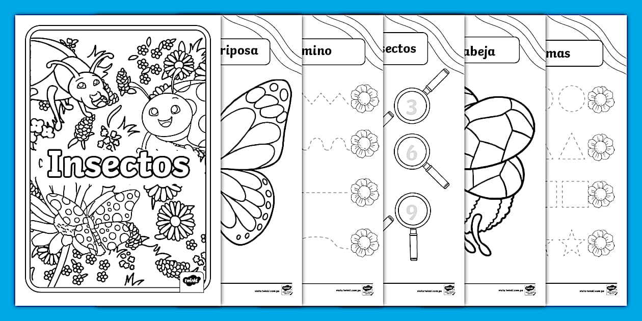 Cuadernillo de actividades: Los insectos | Twinkl