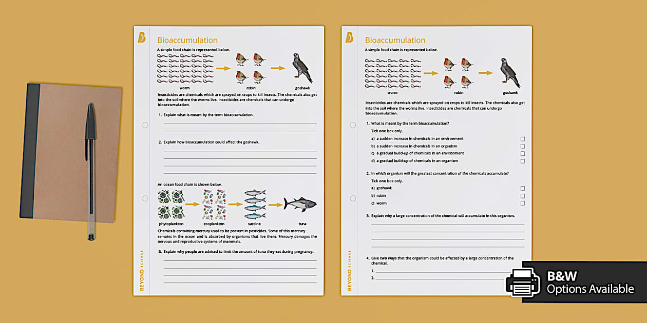 Bioaccumulation Worksheet | Science | Beyond Secondary