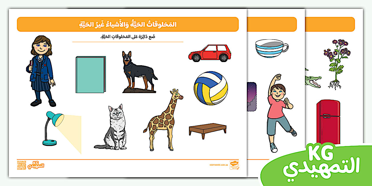 ورقة عمل: المخلوقات الحية والأشياء غير الحية