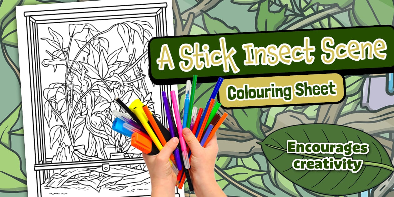 Stick Insect Scene Colouring Sheet - Twinkl