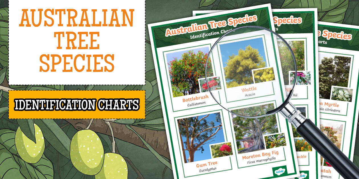 Australian Tree Species Identification Charts