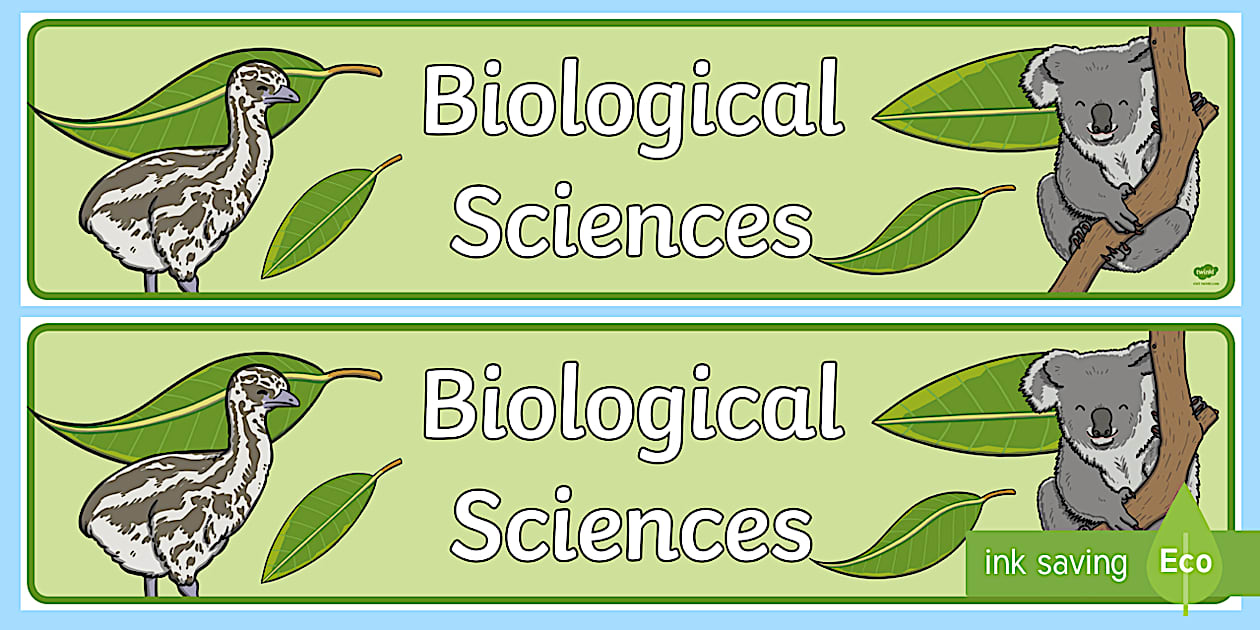 SA Biological Sciences Display Banner (teacher made)