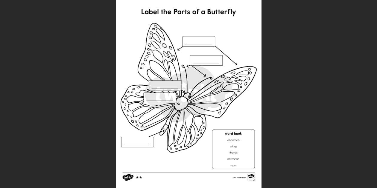 Label the Parts of the Butterfly Differentiated Worksheet for K-2nd Grade