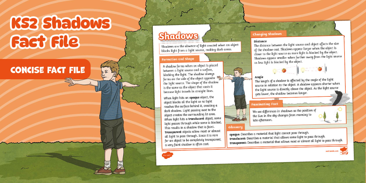 KS2 Shadows Fact File - Twinkl Science