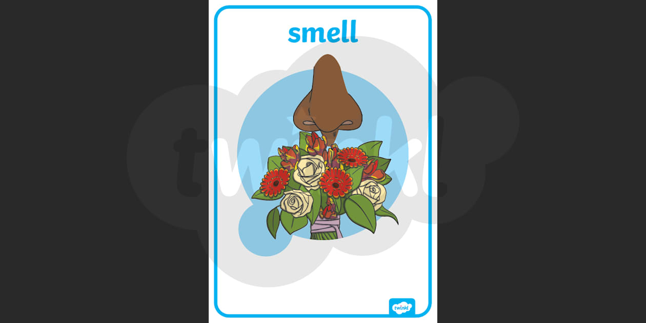 👉 5 Senses Pictures for Children - Display Posters - Twinkl display picture 1