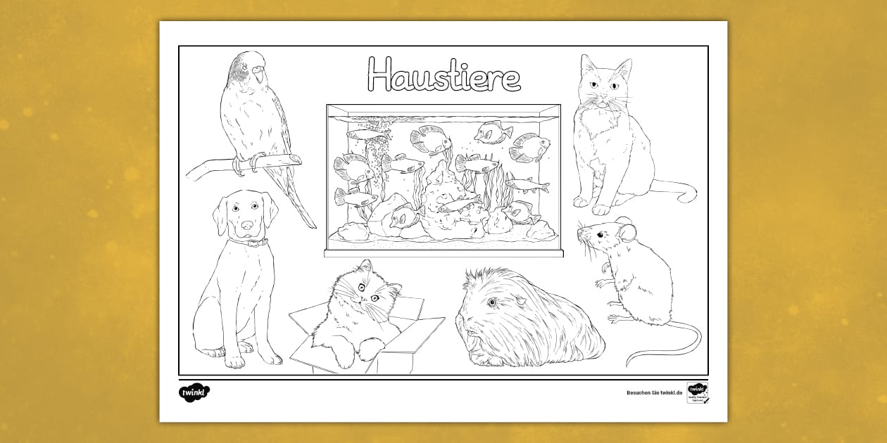  Haustiere - Ausmalbild (teacher made) - Twinkl 