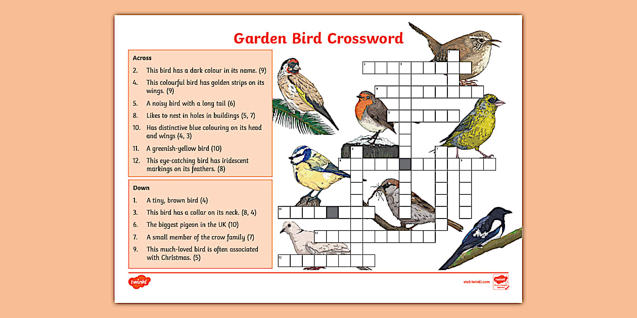 Garden Bird Crossword with Clues (teacher made) Twinkl