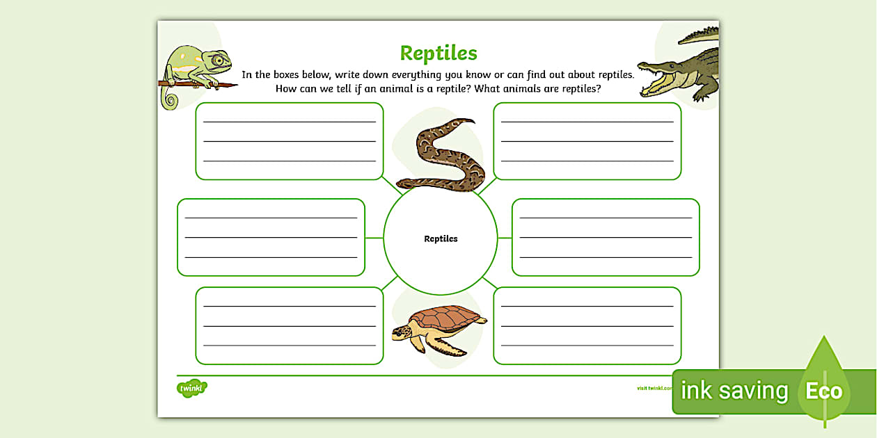 Reptiles Mind Map