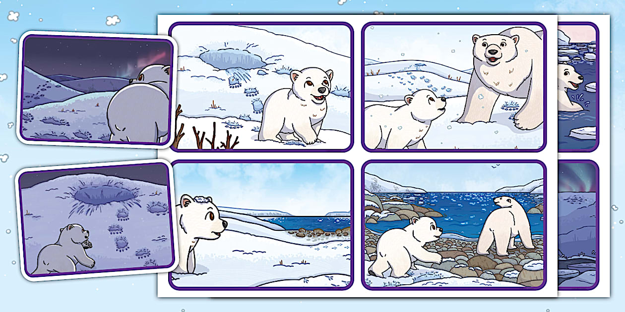 The Curious Polar Bear Story Sequencing Cards (teacher made)