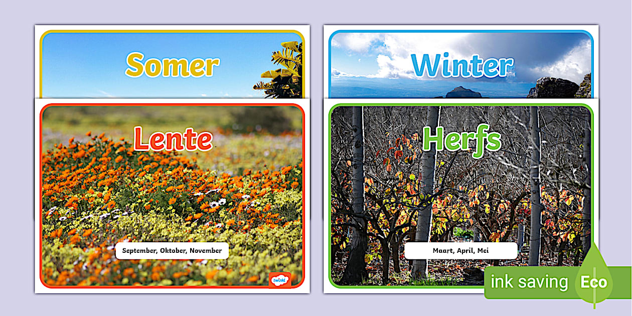 Seisoene Fotovertoning Plakkate (teacher made) - Twinkl