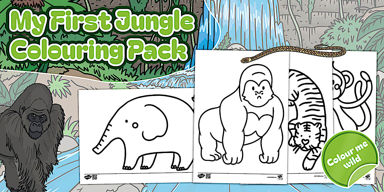 Foundation Phase - My First Jungle - Colouring Pack