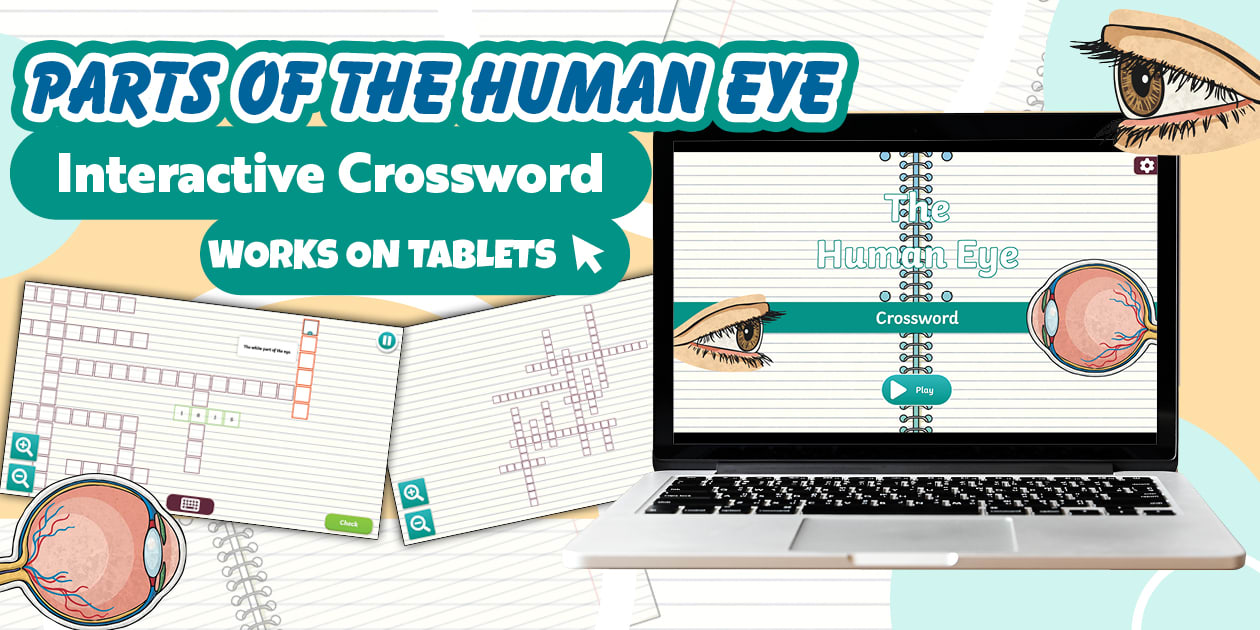 * NEW * Parts of the Human Eye Interactive Crossword Activity