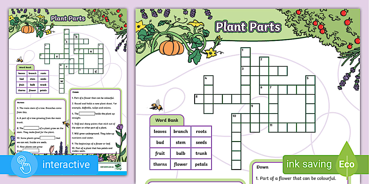 Plant Parts Crossword
