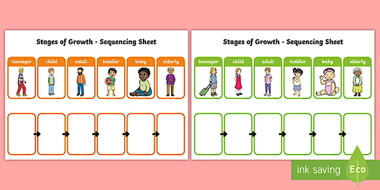 Editable Stages of Growth Sequencing Activity - Twinkl