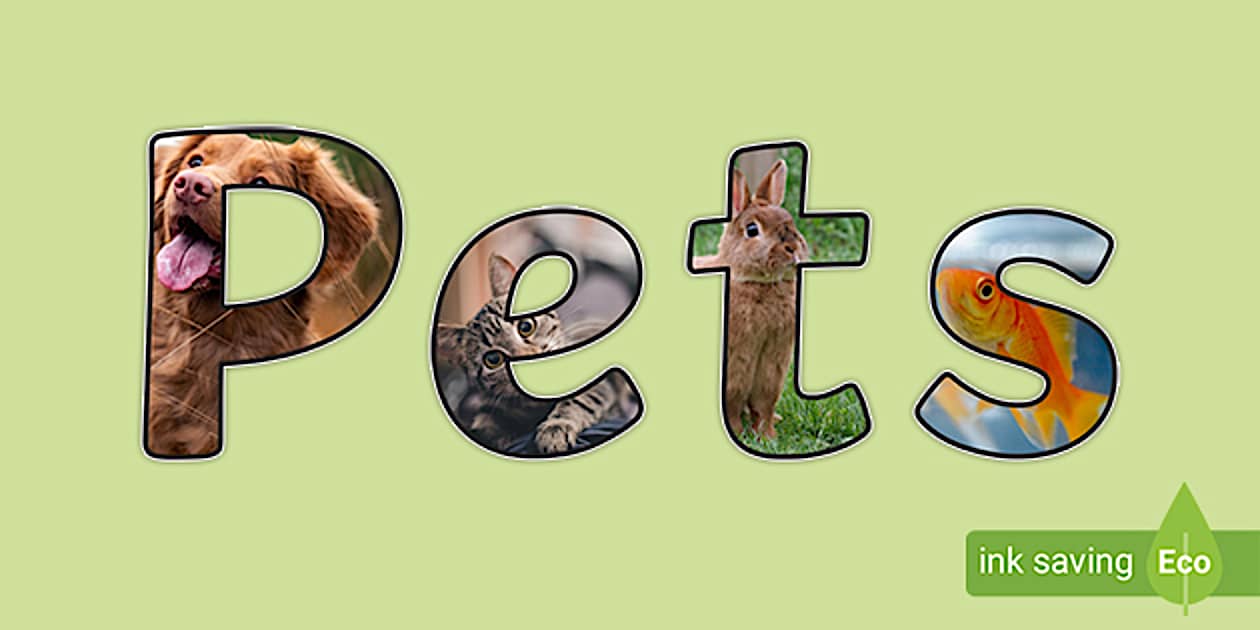 Pets Photo Display Lettering (teacher made) - Twinkl