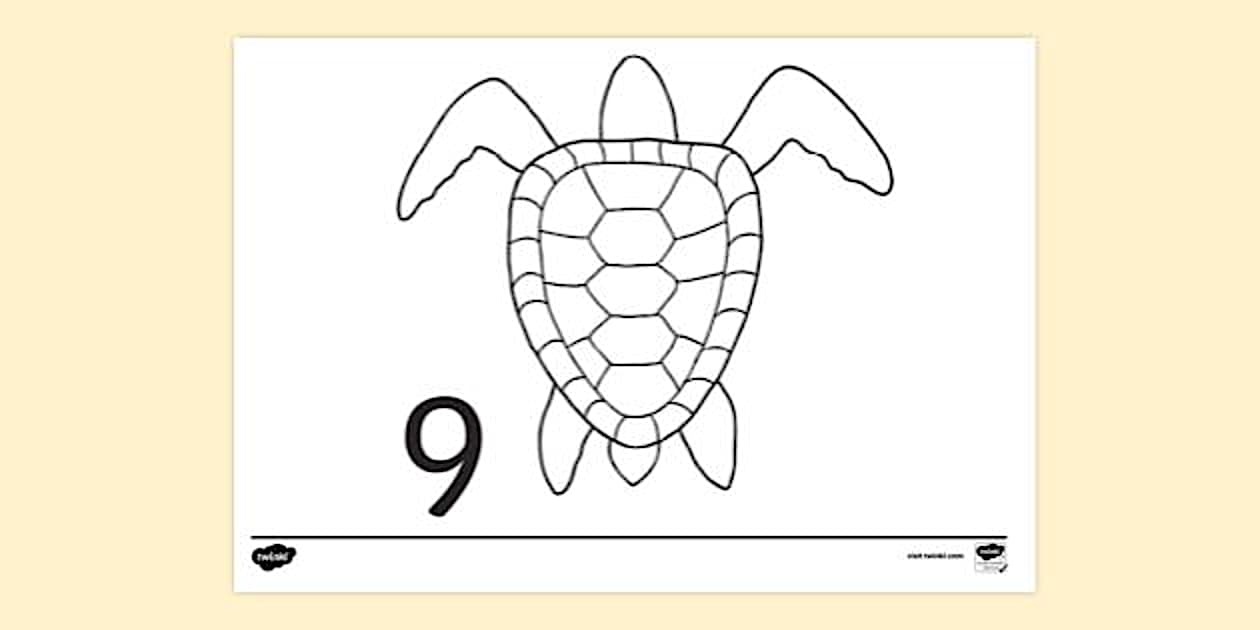 How To Draw Sea Turtle Step 9 Colouring | Colouring Sheets