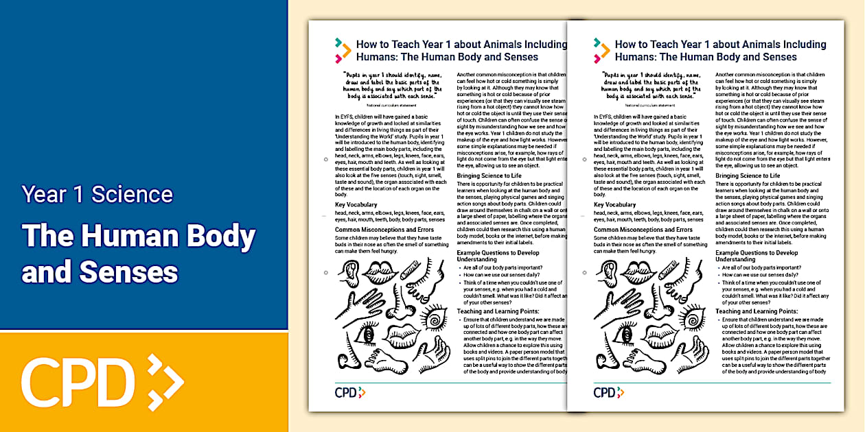 how-to-teach-year-1-about-animals-including-humans-the-human-body-and