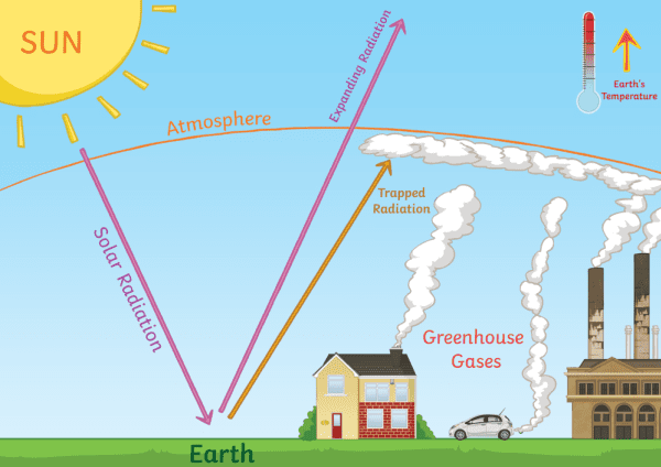 Greenhouse Effect Global Warming Diagram Illustration Stock Vector by  ©brgfx 624786428