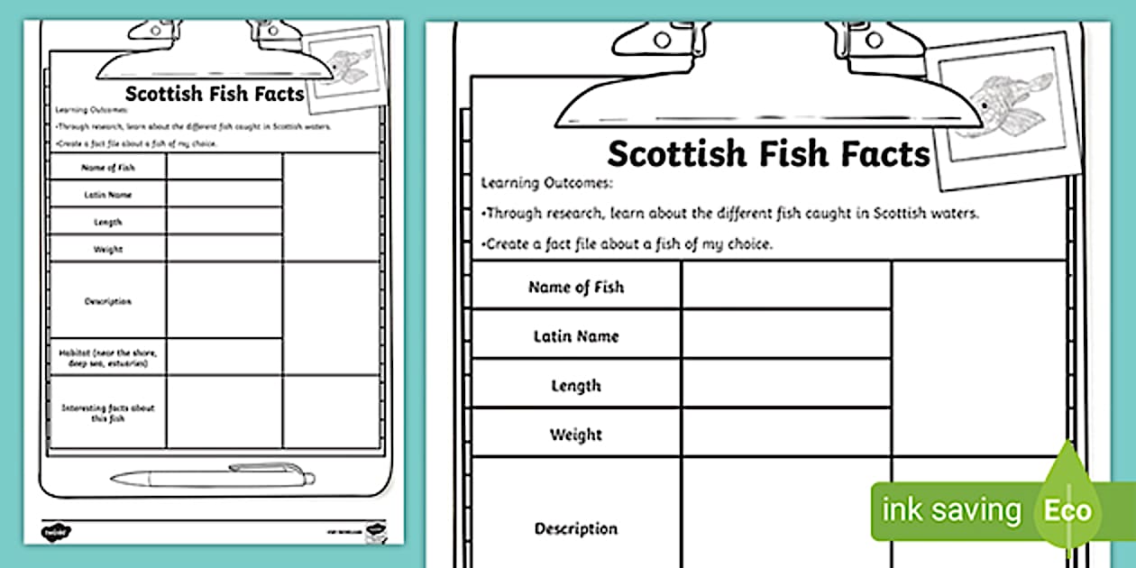Scottish Fish Fact File Template (teacher made) - Twinkl