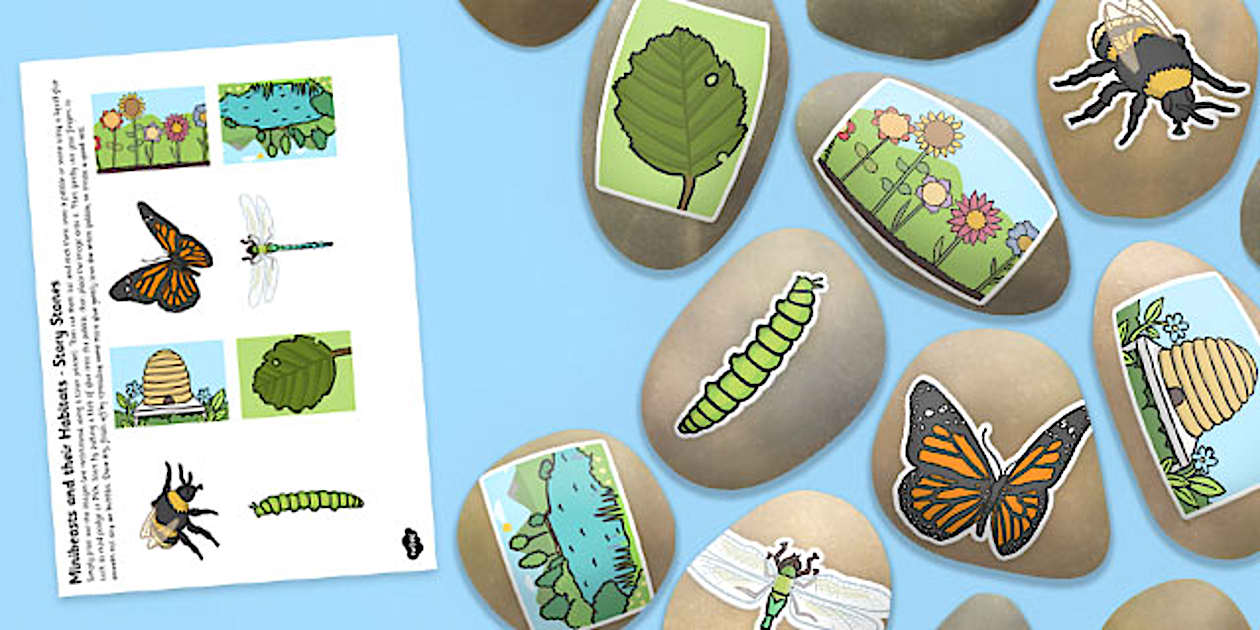 Minibeasts and Their Habitats Story Stone Image Cut Outs