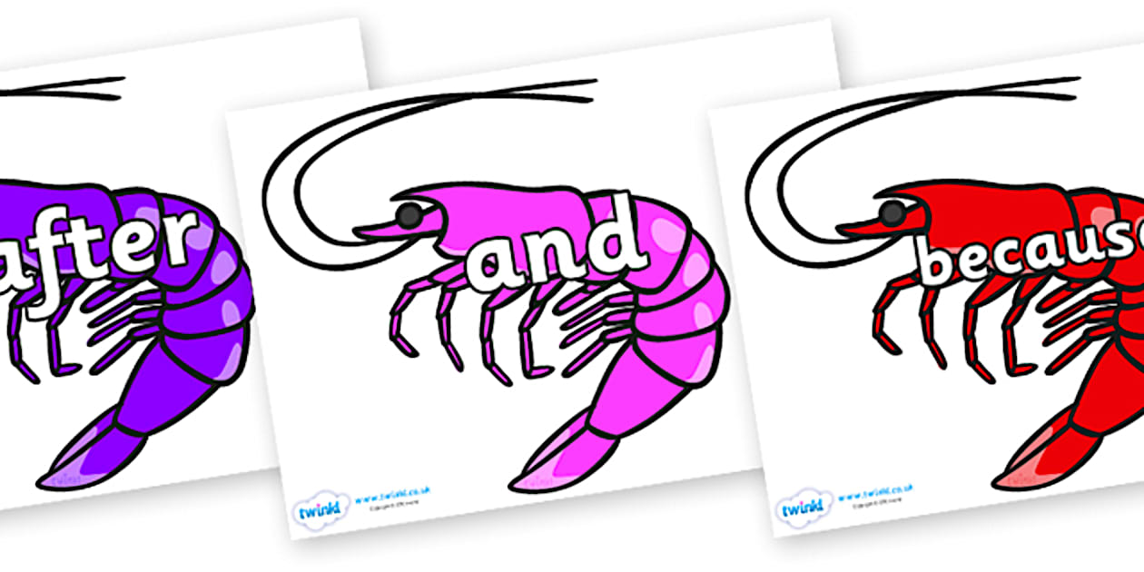 Cursive Connectives on Shrimps (teacher made) - Twinkl