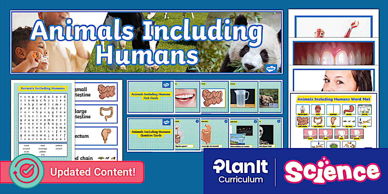 Year 4 Animals Including Humans Additional Resources