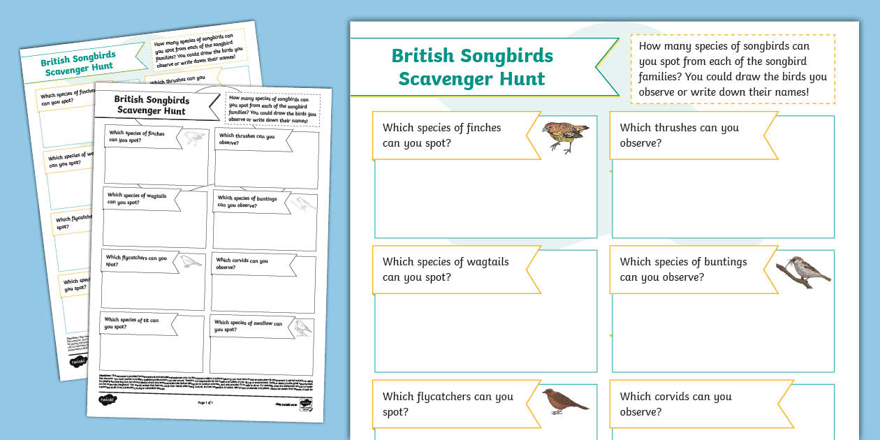 British Songbirds Scavenger Hunt Worksheet (teacher made)