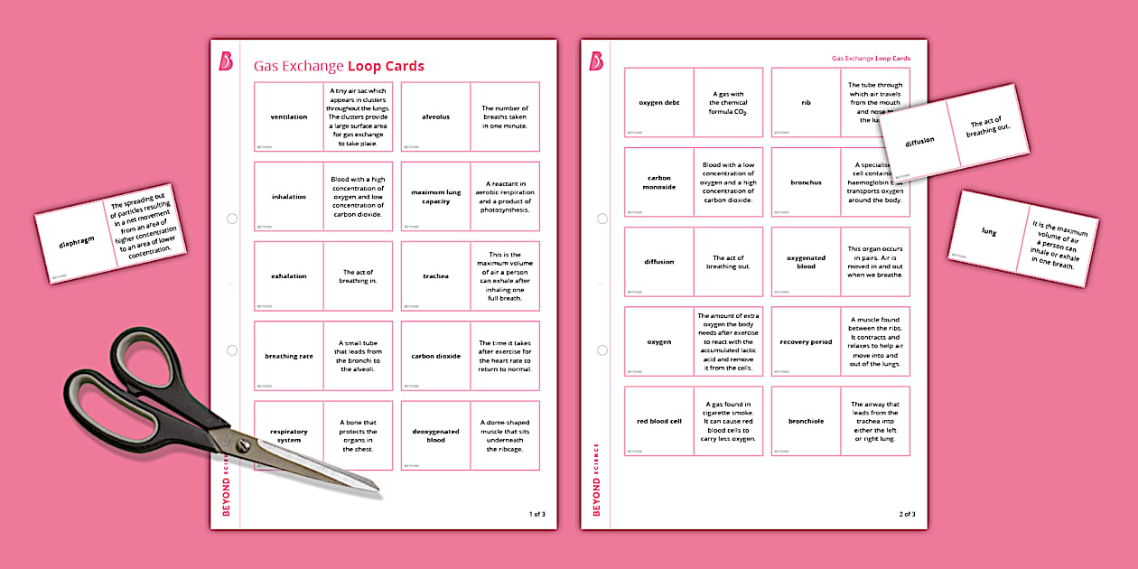 Gas Exchange Loop Cards | KS3 Biology | Beyond Science