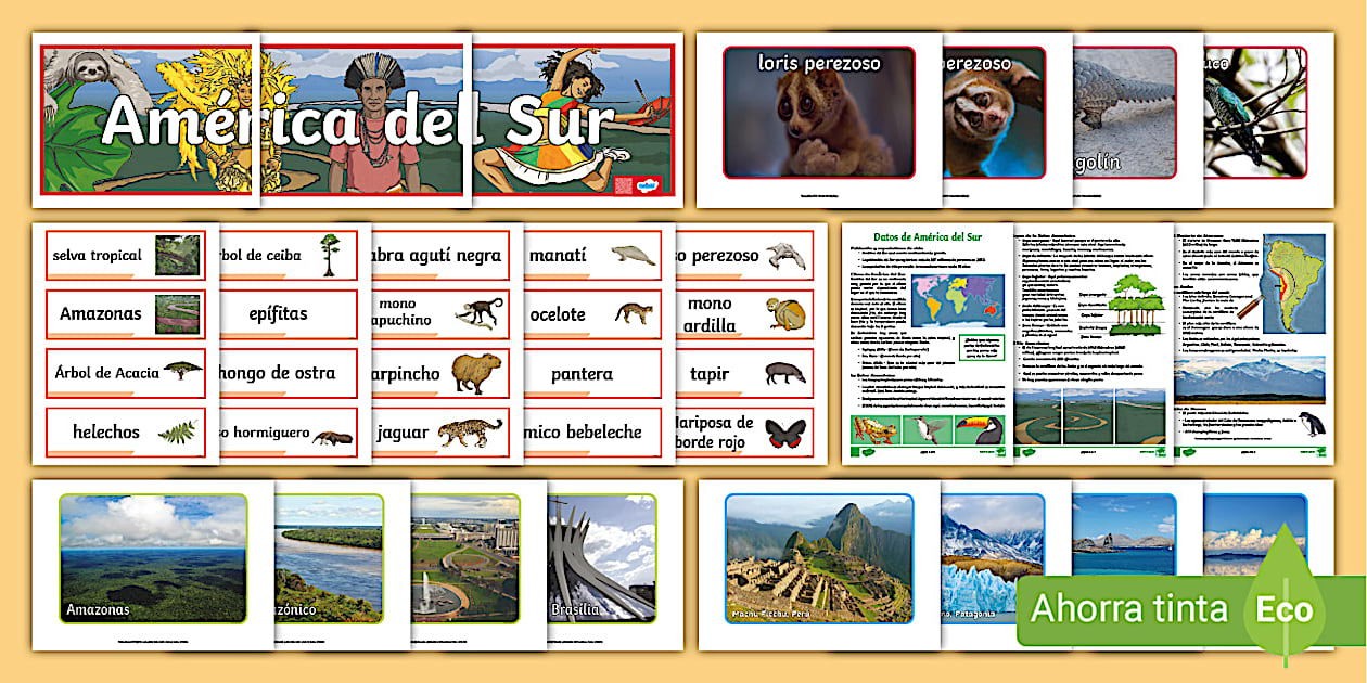 Sur Pack Pack América del Sur