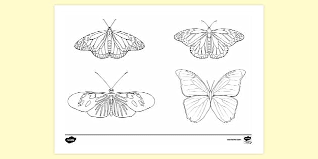 Printable Butterfly Pages | Colouring Sheets